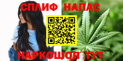 эйфоретик Туймазы