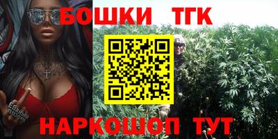 МДПВ Тула