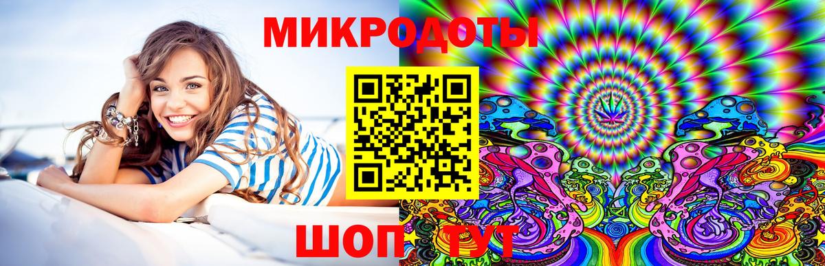 Псилоцибиновые грибы Psilocybe  Вход с VPN  Миасс 
