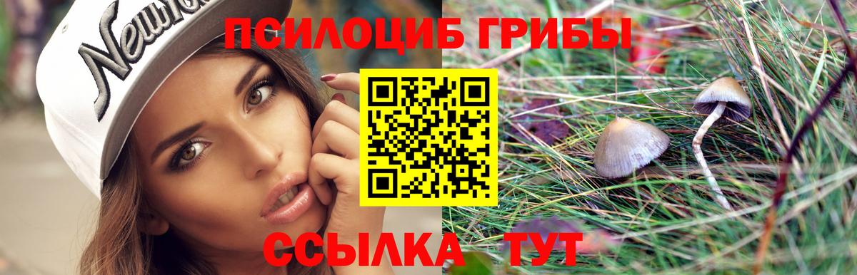 Псилоцибиновые грибы Psilocybine cubensis Миасс